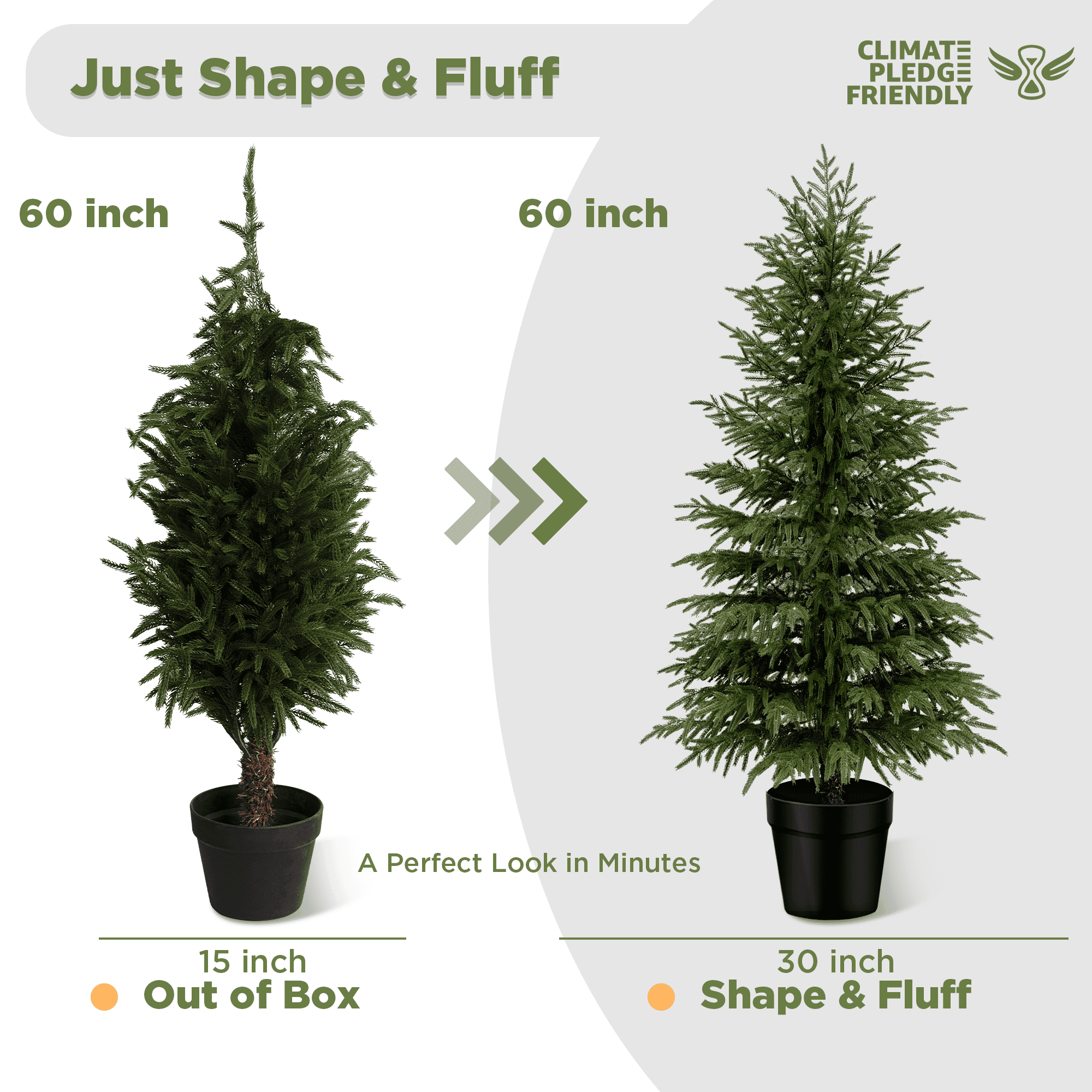 Oli & Vivi OLIVIVI Artificial Norfolk Pine Tree 6FT Tall Faux Silk Plant for Home Office Decor Indoor Outdoor Fake Lifelike Potted Plant with Wood Branches 1 pack Review